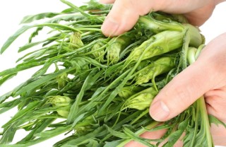 come pulire cicorie, puntarelle, verdura