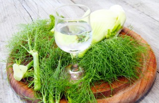 liquore, finocchietto, anice