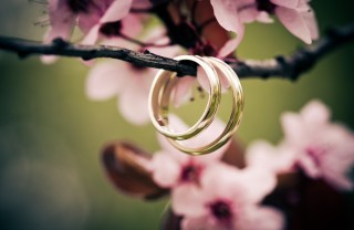 matrimonio, fedi, fiori di arancio