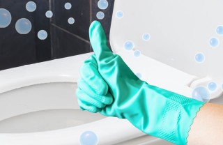 come pulire wc incrostato, come pulire water, calcare wc
