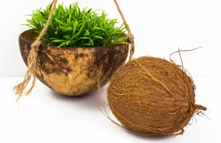 riciclare gusci noci di cocco, lavoretti con noce di cocco, utilizzare gusci noci