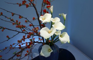 ikebana arte giapponese