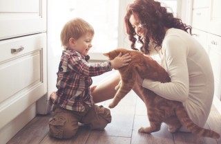 animali domestici. bambini, prendersi cura