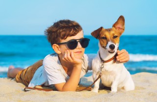 cane al mare, consigli, benessere