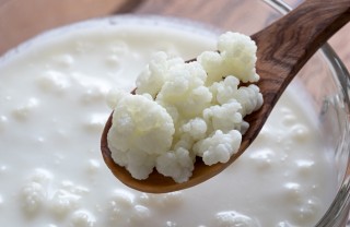 alimenti probiotici kefir, probiotici
