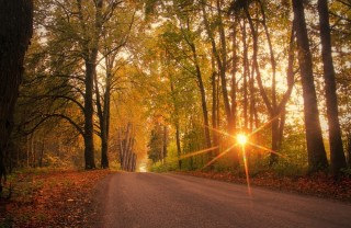 frasi autunno