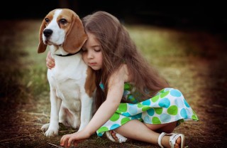 cani taglia media bambini