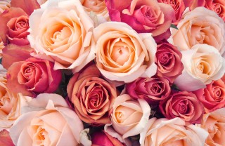 Frasi sui fiori frasi fiori, citazioni fiori