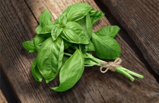 liquore, basilico, ricetta