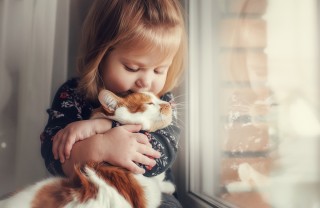 razze gatti per bambini