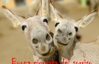 Giornata mondiale del sorriso giornata mondiale del sorriso, immagini divertenti