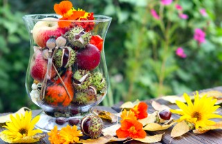 addobbi autunnali casa