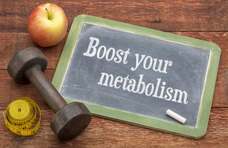 metabolismo, linea
