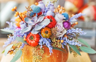 decorare zucche secche, decorare zucche ornamentali