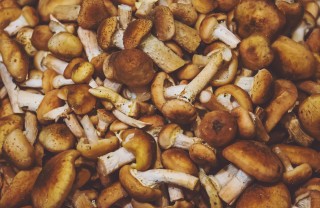 come pulire funghi chiodini