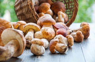 funghi, porcini, pulizia