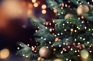 10 belle citazioni natalizie tratte da libri per bambini e ragazzi citazioni libri famosi natale