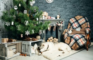 Copri base per albero di Natale fai da te copri base albero di Natale fai da te, base albero di Natale fai da te, rialzo albero di natale