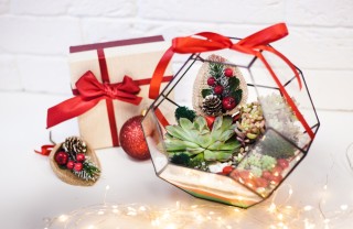 cosa regalare a natale, cosa regalare a chi ama giardinaggio, idee regalo per chi ama i fiori