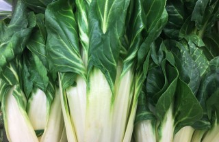 come coltivare bietola, coltivare bieta