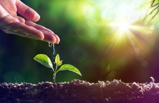 come evitare ristagni acqua vasi, evitare ristagni acqua vasi, drenaggio vasi