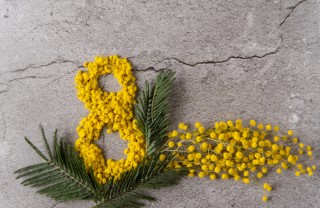 Decoupage con la mimosa per i lavoretti della festa della donna lavoretti festa della donna, decoupage con mimosa, decoupage fiori secchi