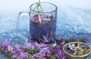 tisana alla malva, mal di stomaco, rimedi naturali