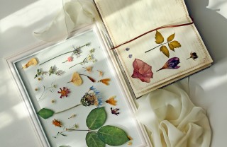 Decoupage con i fiori secchi decoupage fiori secchi, decoupage fiori pressati, lavoretti fiori secchi