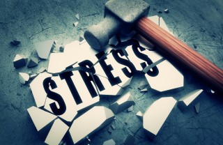stress e natura