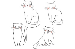 Disegno facile di un gatto come disegnare gatto
