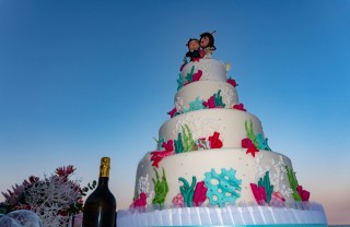torte matrimonio tema mare, torte tema mare, torte matrimonio tema marino