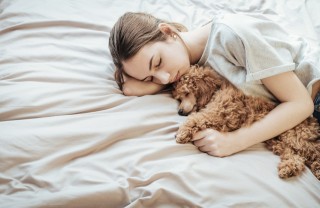 cane che trema, cause, veterinario