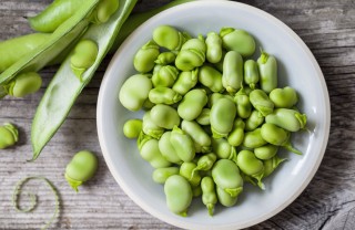fave fresche, come cucinarle, ricette