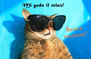 immagini vacanze estive divertenti, immagini vacanze estive