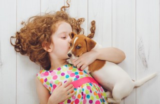 animali domestici, bambini, quali i migliori