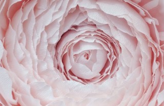 fiori decorazioni matrimonio