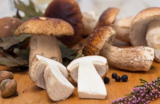 come mondare porcini