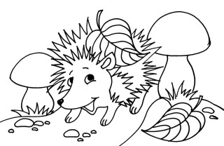disegni autunno da colorare, disegni autunnali da colorare, disegni autunno