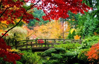 Immagine sfondo autunno sfondi autunno desktop, sfondi autunno desktop gratis, immagini autunno