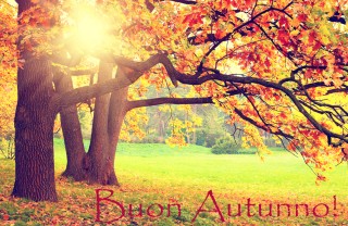 Immagini per augurare "buon autunno" buon autunno immagini, benvenuto autunno immagini, autunno immagini