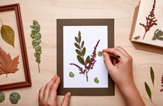 fiori essiccati decorazioni