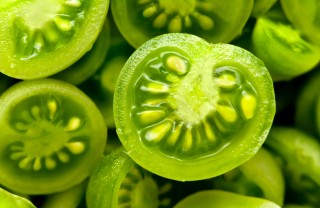 pomodori verdi umido