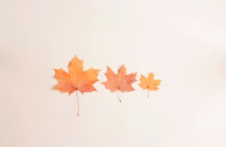 lavoretti autunno gìfolgie