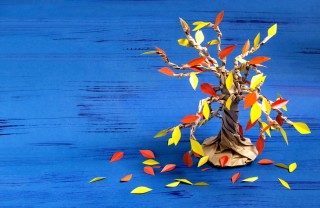 albero carta fai da te, come fare albero carta