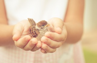 Giornata della gentilezza, le poesie più intense giornata della gentilezza
