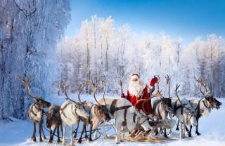 Renne di Babbo Natale