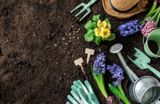 pulire attrezzi giardino