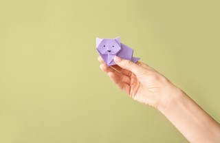 Gatto origami, il procedimento gatto origami