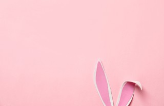 coniglietto porta ovetti pasqua