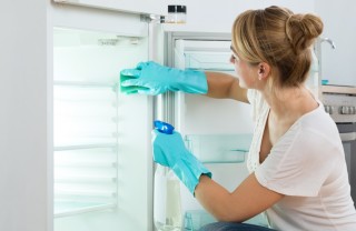pulizia, frigo, aceto